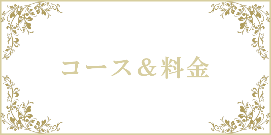 女性用風俗（女風）性感マッサージ・JR総武線・都営新宿線・京成線・東京メトロ東西線・JR常磐線